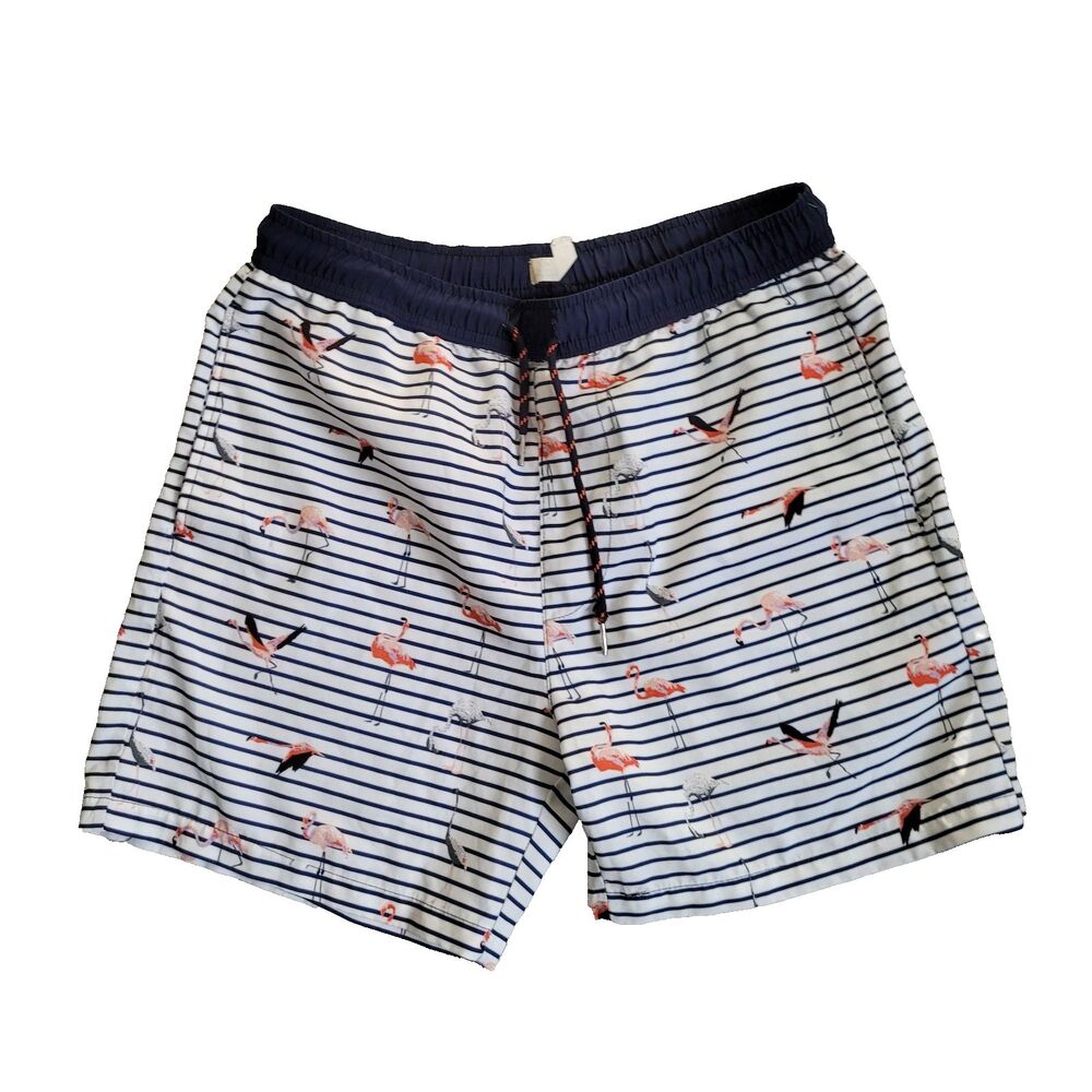 Public Record Swim Trunks Mens Medium Flamingo Stripe All Over Print Pockets